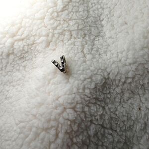 Letter V charm